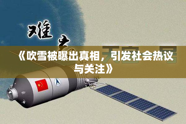 《吹雪被曝出真相，引发社会热议与关注》
