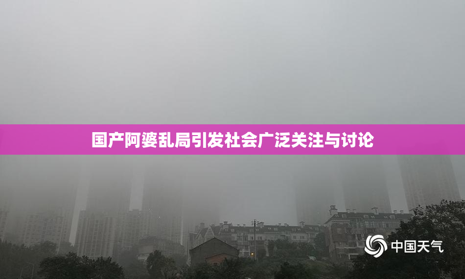 国产阿婆乱局引发社会广泛关注与讨论