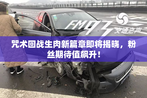 咒术回战生肉新篇章即将揭晓，粉丝期待值飙升！