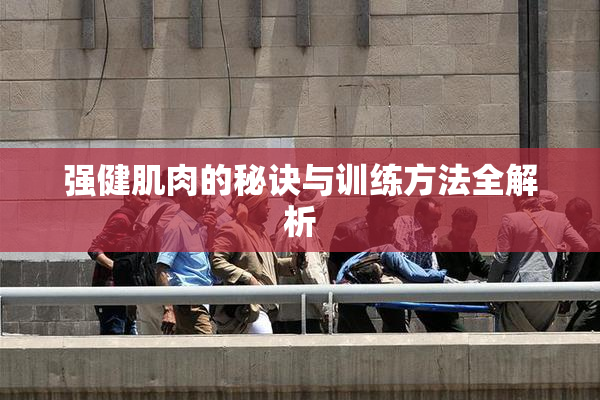 强健肌肉的秘诀与训练方法全解析