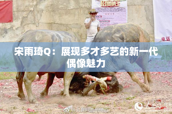 宋雨琦Q：展现多才多艺的新一代偶像魅力