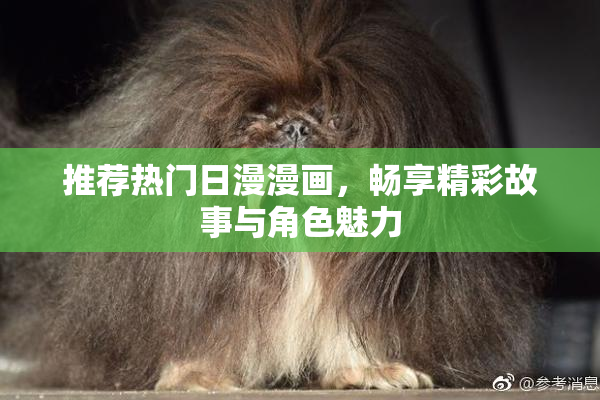 推荐热门日漫漫画，畅享精彩故事与角色魅力
