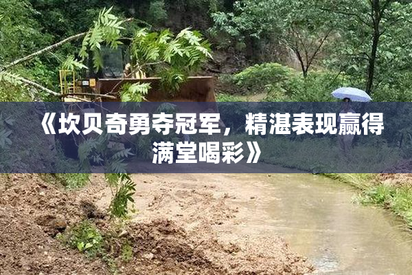 《坎贝奇勇夺冠军，精湛表现赢得满堂喝彩》