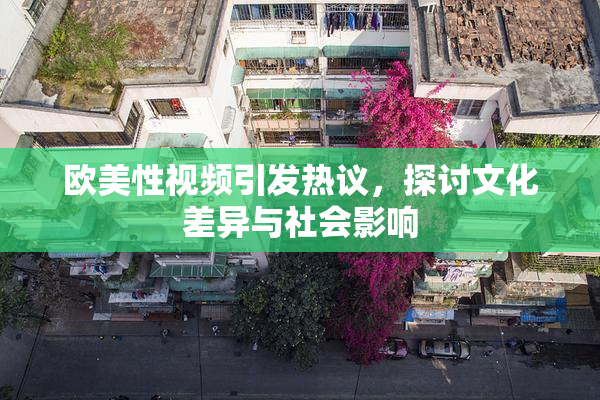 欧美性视频引发热议，探讨文化差异与社会影响