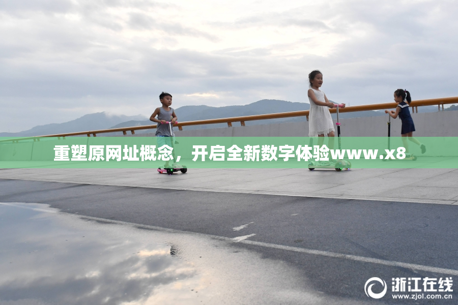 重塑原网址概念，开启全新数字体验www.x8