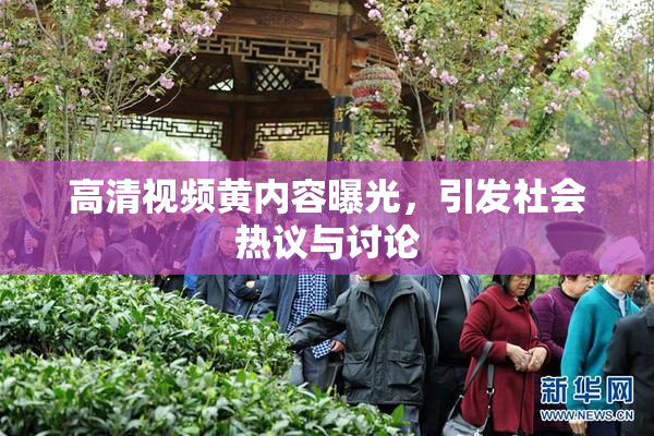 高清视频黄内容曝光，引发社会热议与讨论