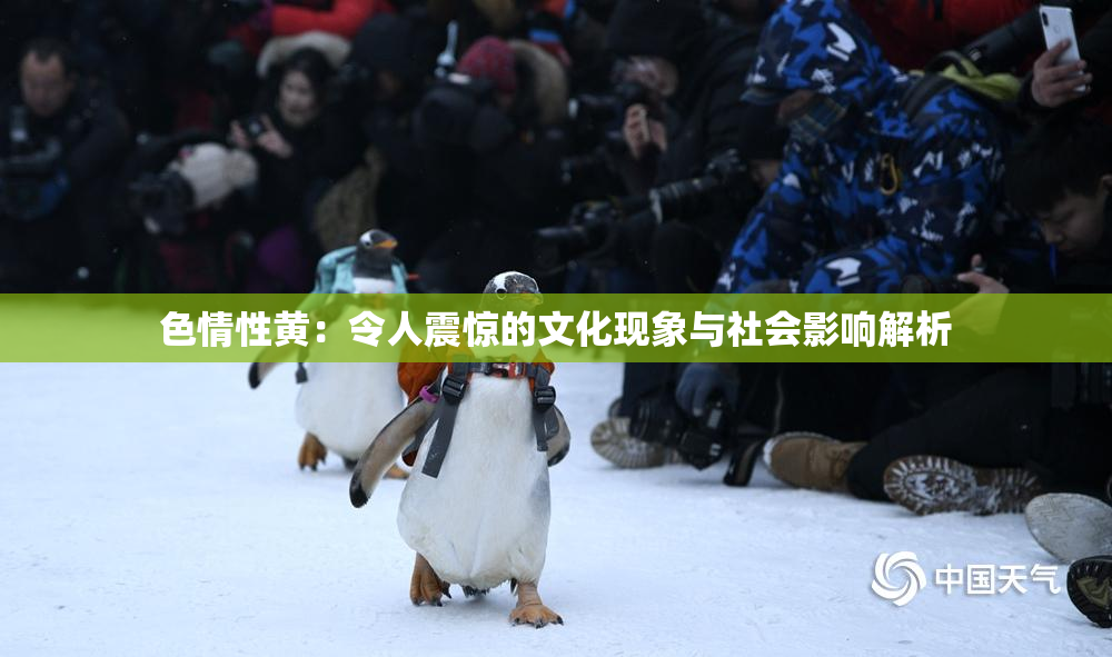 色情性黄：令人震惊的文化现象与社会影响解析