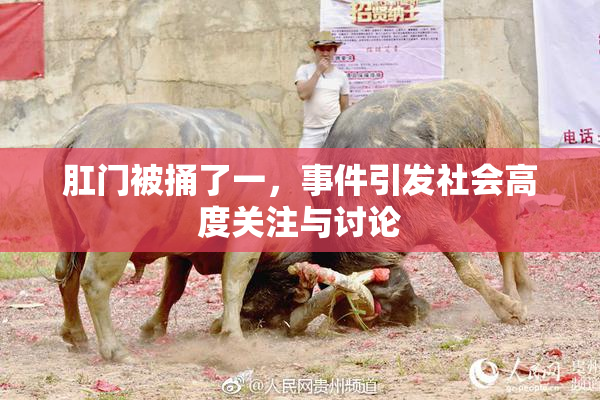 肛门被捅了一，事件引发社会高度关注与讨论