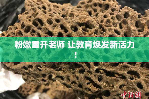 粉嫩重开老师 让教育焕发新活力！