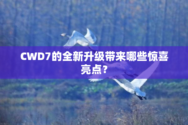 CWD7的全新升级带来哪些惊喜亮点？