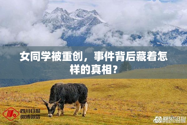 女同学被重创，事件背后藏着怎样的真相？