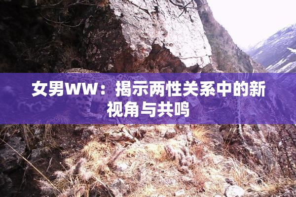 女男WW：揭示两性关系中的新视角与共鸣