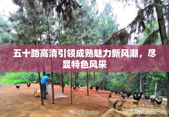 五十路高清引领成熟魅力新风潮，尽显特色风采