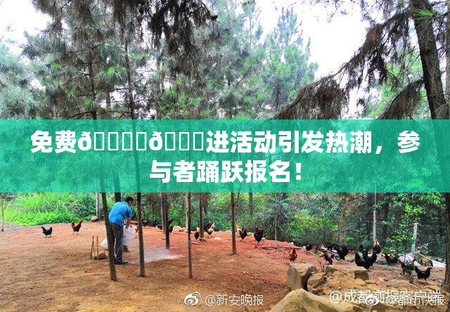 免费🔞‌🍌进活动引发热潮，参与者踊跃报名！
