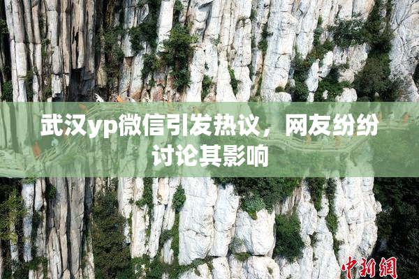 武汉yp微信引发热议，网友纷纷讨论其影响