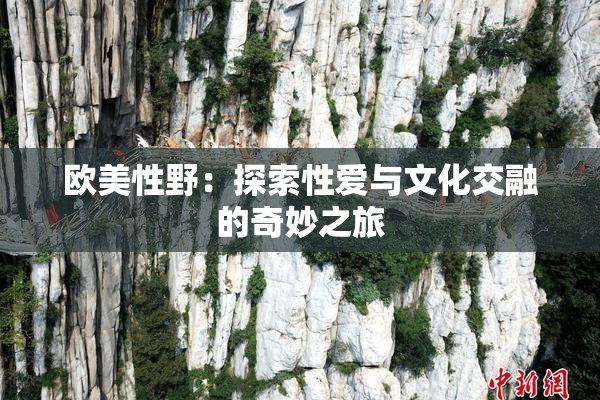 欧美性野：探索性爱与文化交融的奇妙之旅