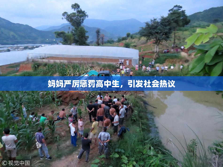 妈妈严厉惩罚高中生，引发社会热议