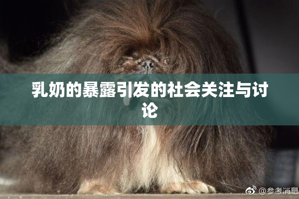 乳奶的暴露引发的社会关注与讨论