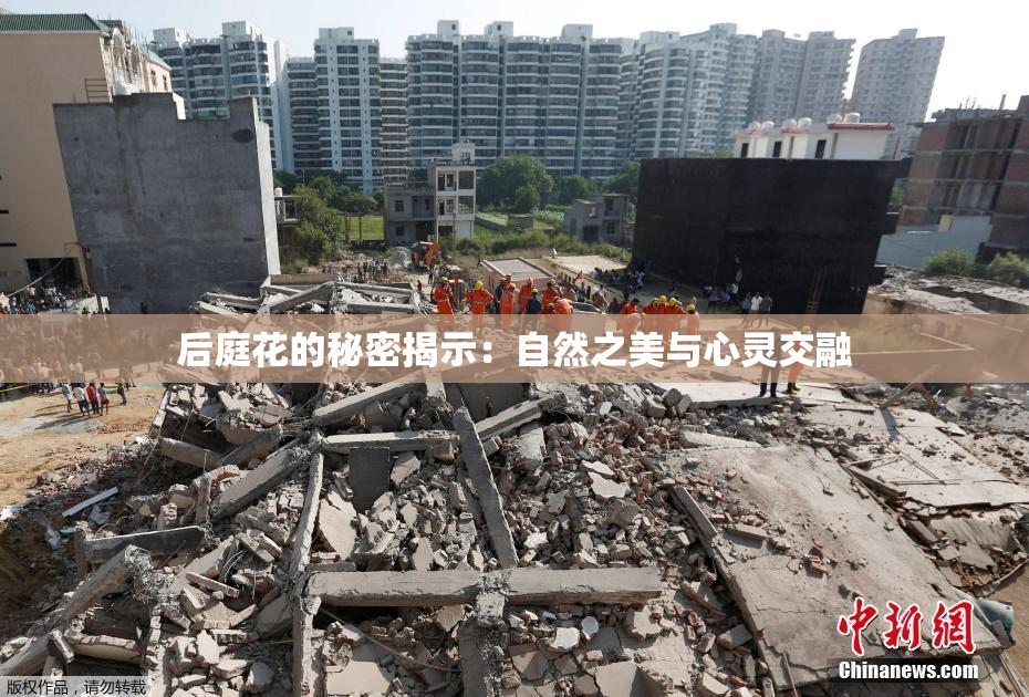 后庭花的秘密揭示：自然之美与心灵交融