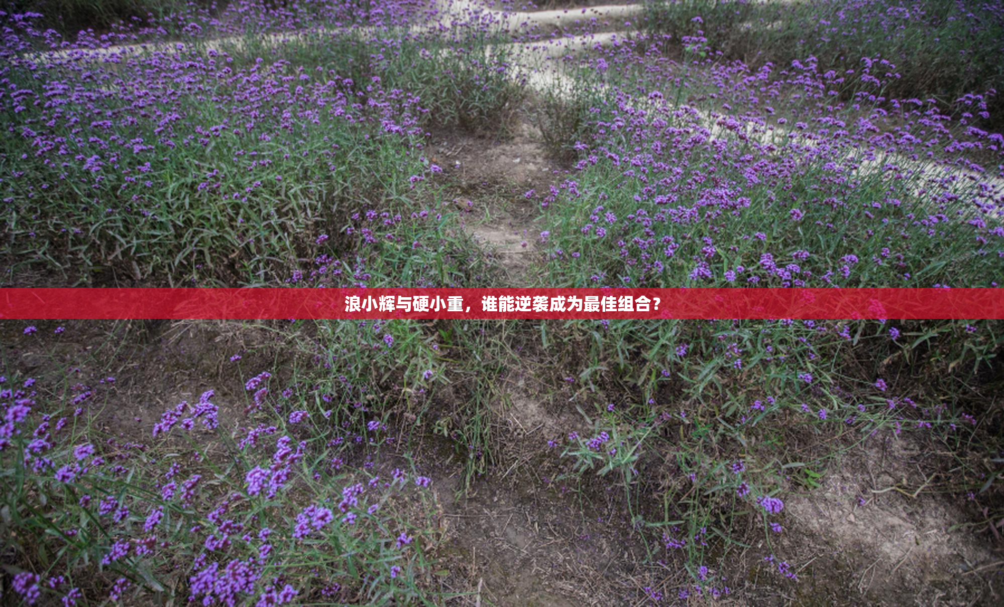 浪小辉与硬小重，谁能逆袭成为最佳组合？