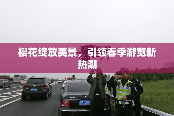 樱花绽放美景，引领春季游览新热潮