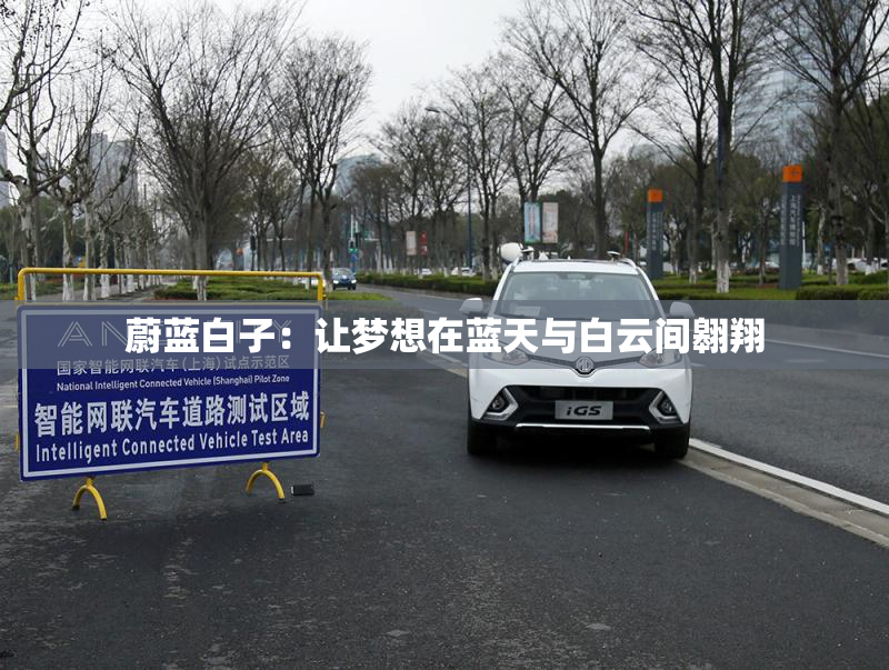 蔚蓝白子：让梦想在蓝天与白云间翱翔