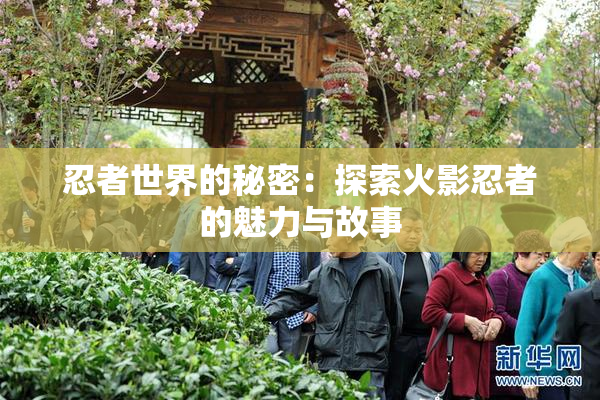 忍者世界的秘密：探索火影忍者的魅力与故事