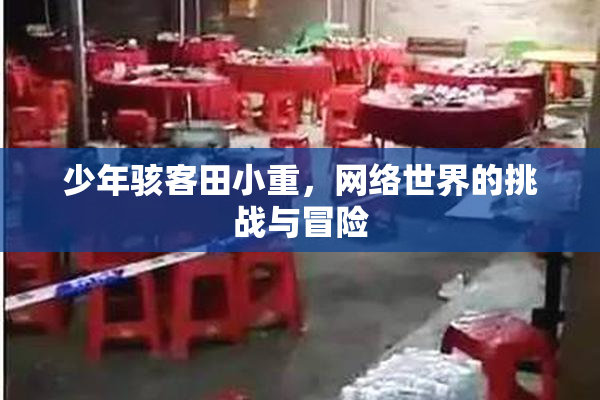 少年骇客田小重，网络世界的挑战与冒险