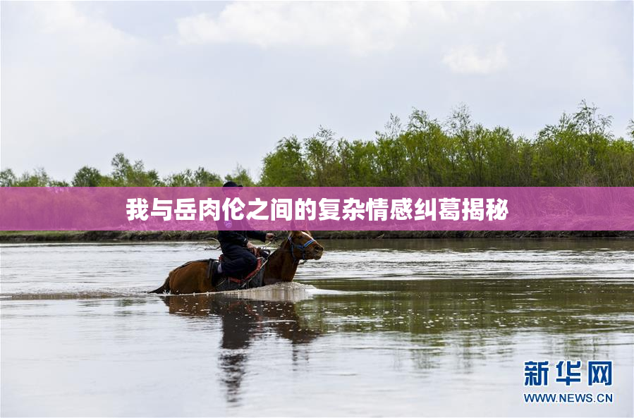 我与岳肉伦之间的复杂情感纠葛揭秘