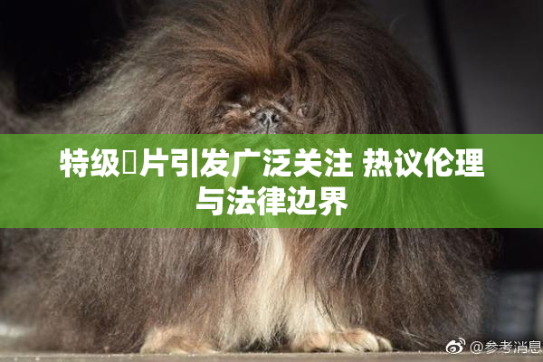 特级婬片引发广泛关注 热议伦理与法律边界