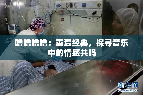 噜噜噜噜：重温经典，探寻音乐中的情感共鸣