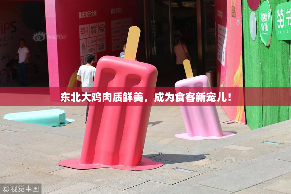 东北大鸡肉质鲜美，成为食客新宠儿！