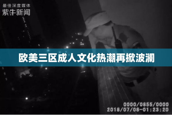 欧美三区成人文化热潮再掀波澜
