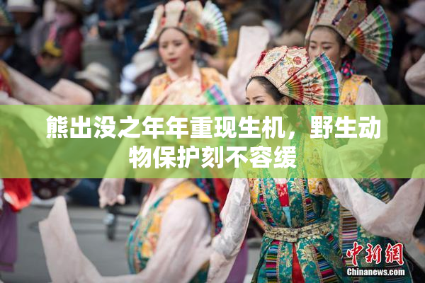 熊出没之年年重现生机，野生动物保护刻不容缓