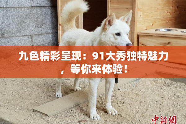 九色精彩呈现：91大秀独特魅力，等你来体验！