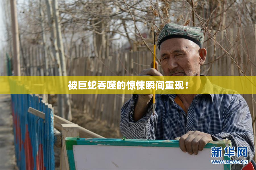 被巨蛇吞噬的惊悚瞬间重现！