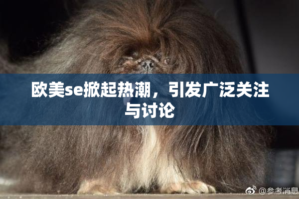 欧美se掀起热潮，引发广泛关注与讨论