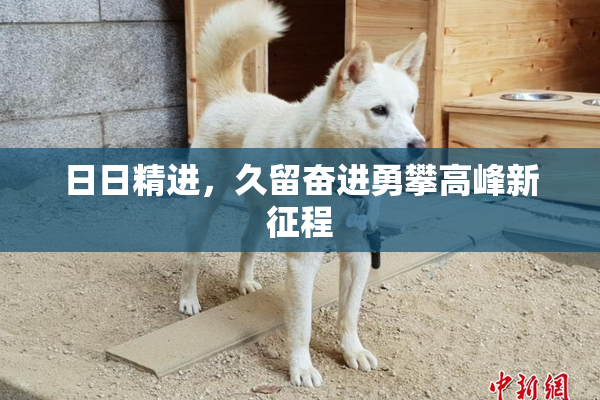 日日精进，久留奋进勇攀高峰新征程