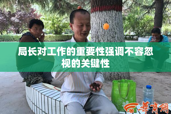 局长对工作的重要性强调不容忽视的关键性