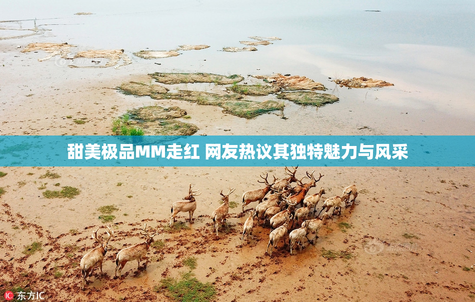 甜美极品MM走红 网友热议其独特魅力与风采