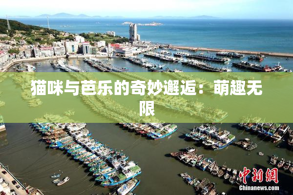猫咪与芭乐的奇妙邂逅：萌趣无限