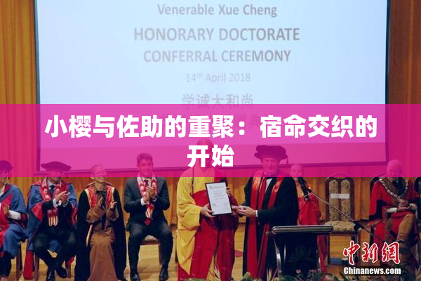 小樱与佐助的重聚：宿命交织的开始