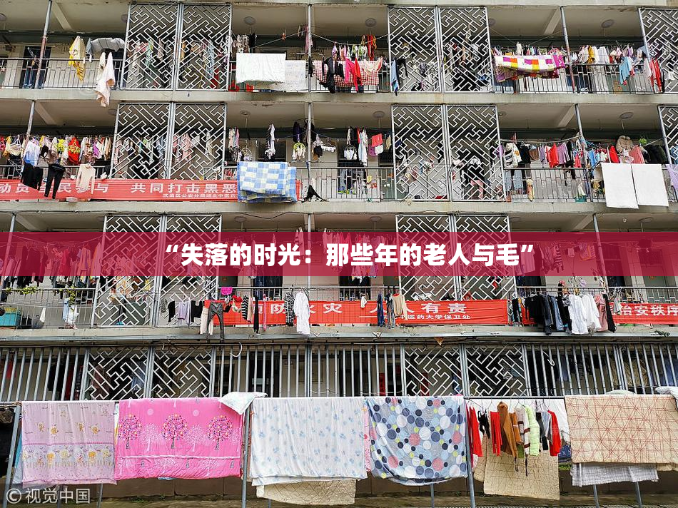“失落的时光：那些年的老人与毛”