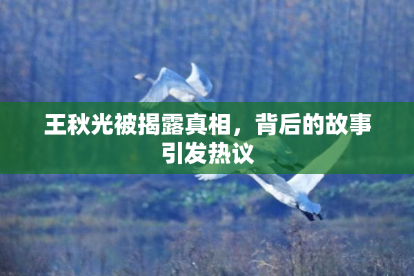 王秋光被揭露真相，背后的故事引发热议