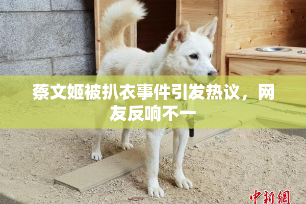 蔡文姬被扒衣事件引发热议，网友反响不一