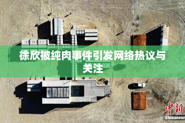 徐欣被纯肉事件引发网络热议与关注