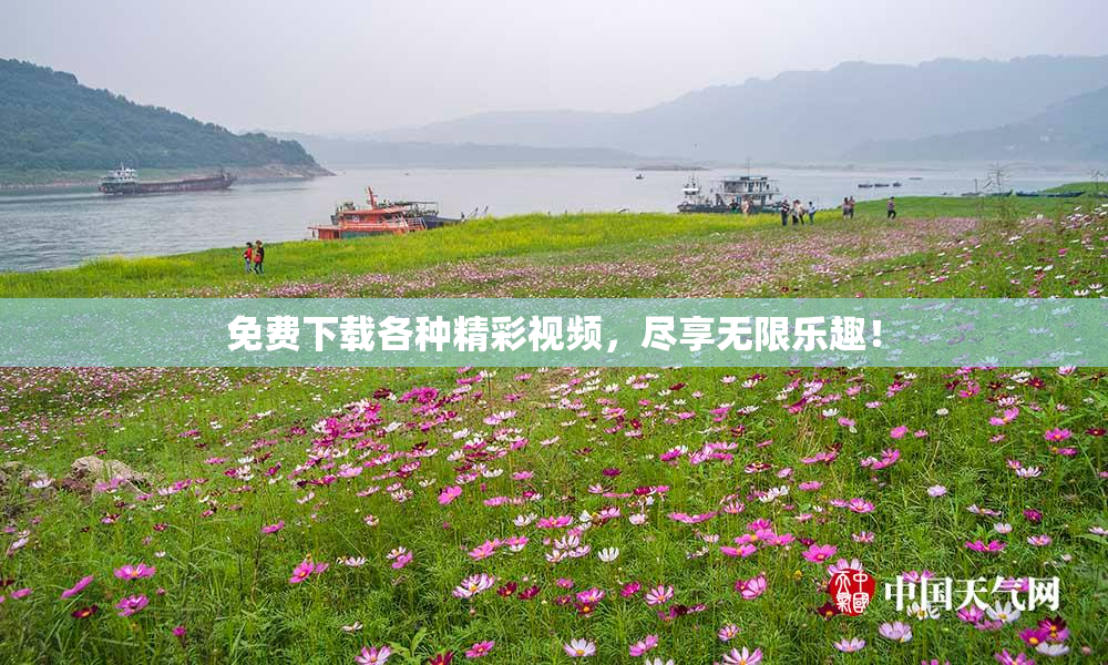 免费下载各种精彩视频，尽享无限乐趣！