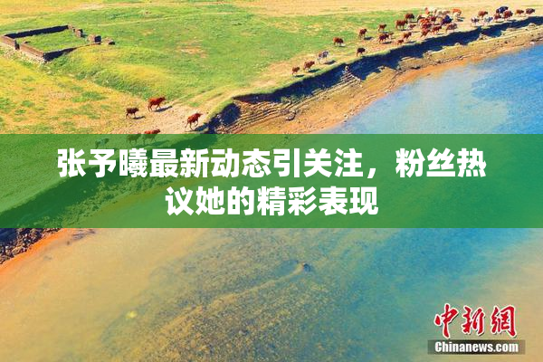 张予曦最新动态引关注，粉丝热议她的精彩表现