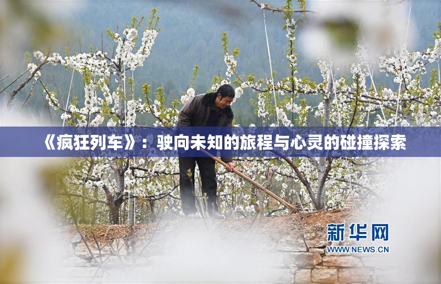 《疯狂列车》：驶向未知的旅程与心灵的碰撞探索