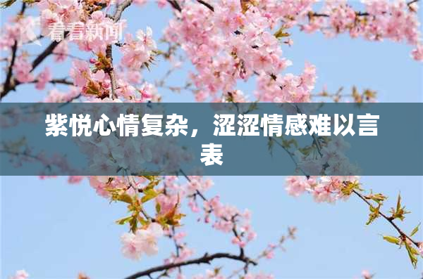 紫悦心情复杂，涩涩情感难以言表